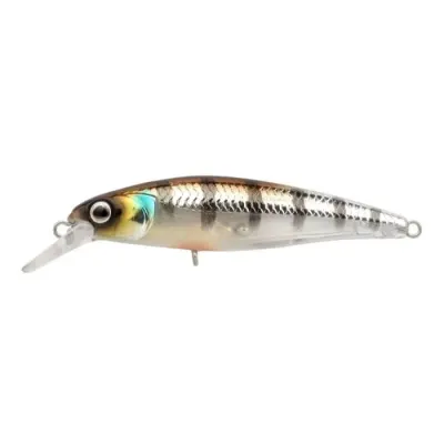 SPRO Ikiru Jerk 65 FS Buzzer 1/1