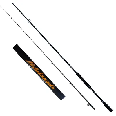 DFT Michelangelo 274 cm  Olta Kamışı 10-35 g